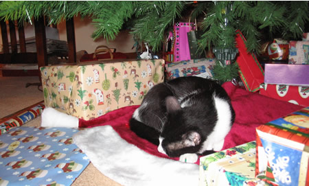 Panda sleeping in the presents