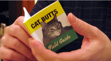 Daddy reads the field guide to cat butts