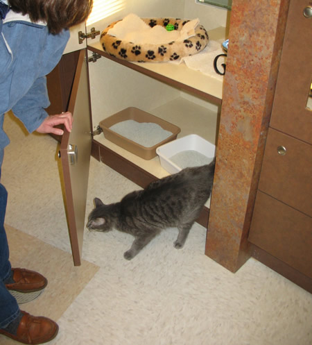 Exploring the floor at The Barkley Pet Hotel