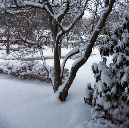 Snow view out the front door